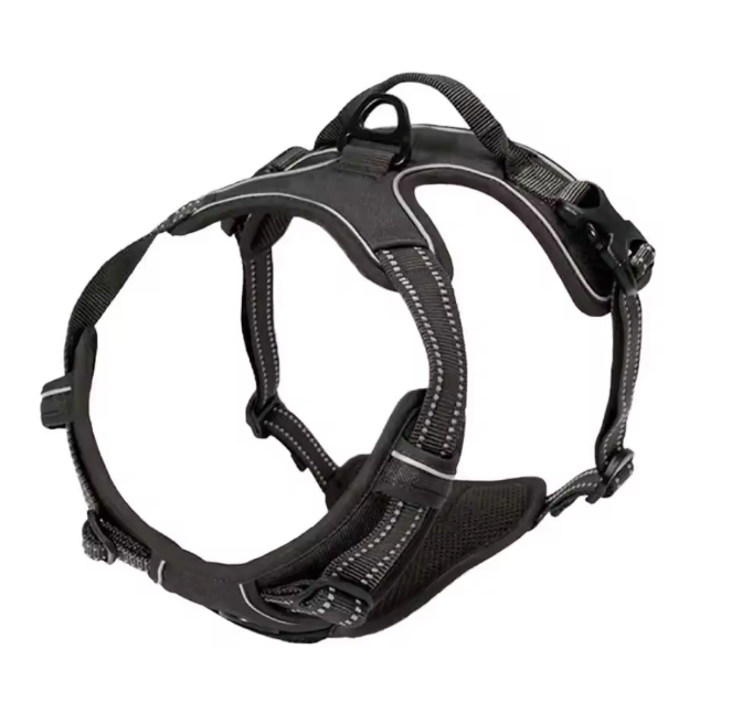 Dog Collar & Harness Black