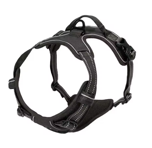 Dog Collar & Harness Black