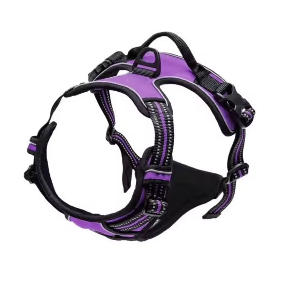 Dog Collar & Harness Purple