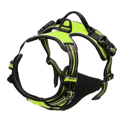 Dog Collar & Harness Light Green
