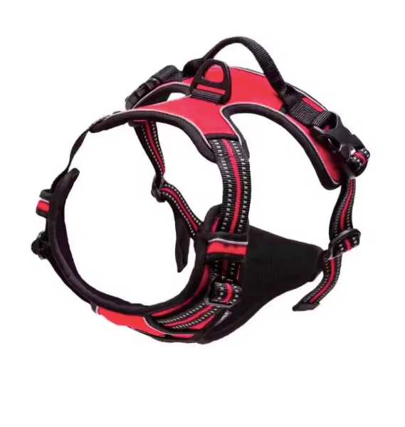 Dog Collar & Harness Light Red