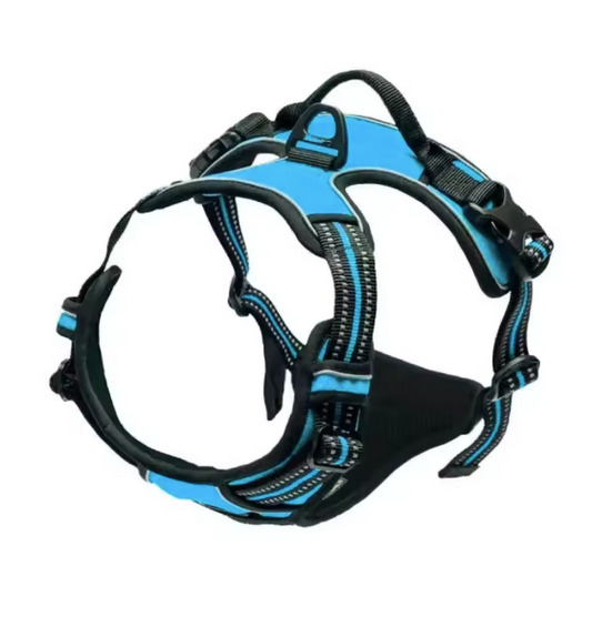 Dog Collar & Harness Light Blue