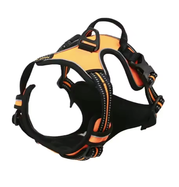 Dog Collar & Harness Light Orange