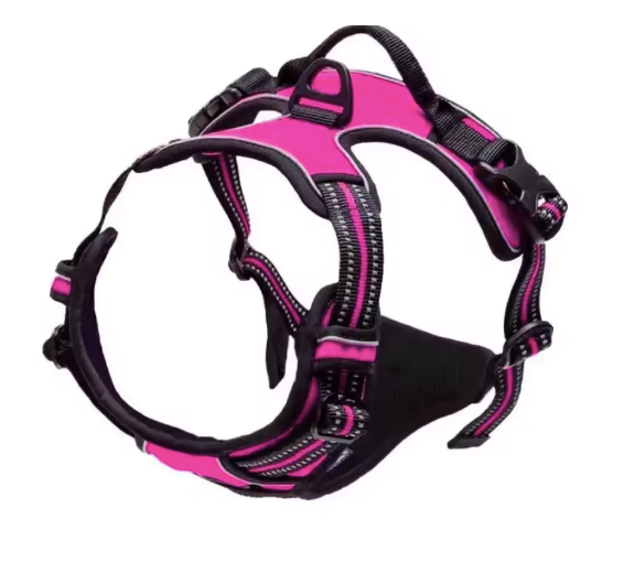 Dog Collar & Harness Pink