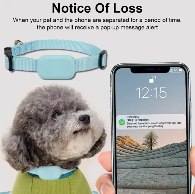 Pet GPS Tracker with Adjustable Collar Blue