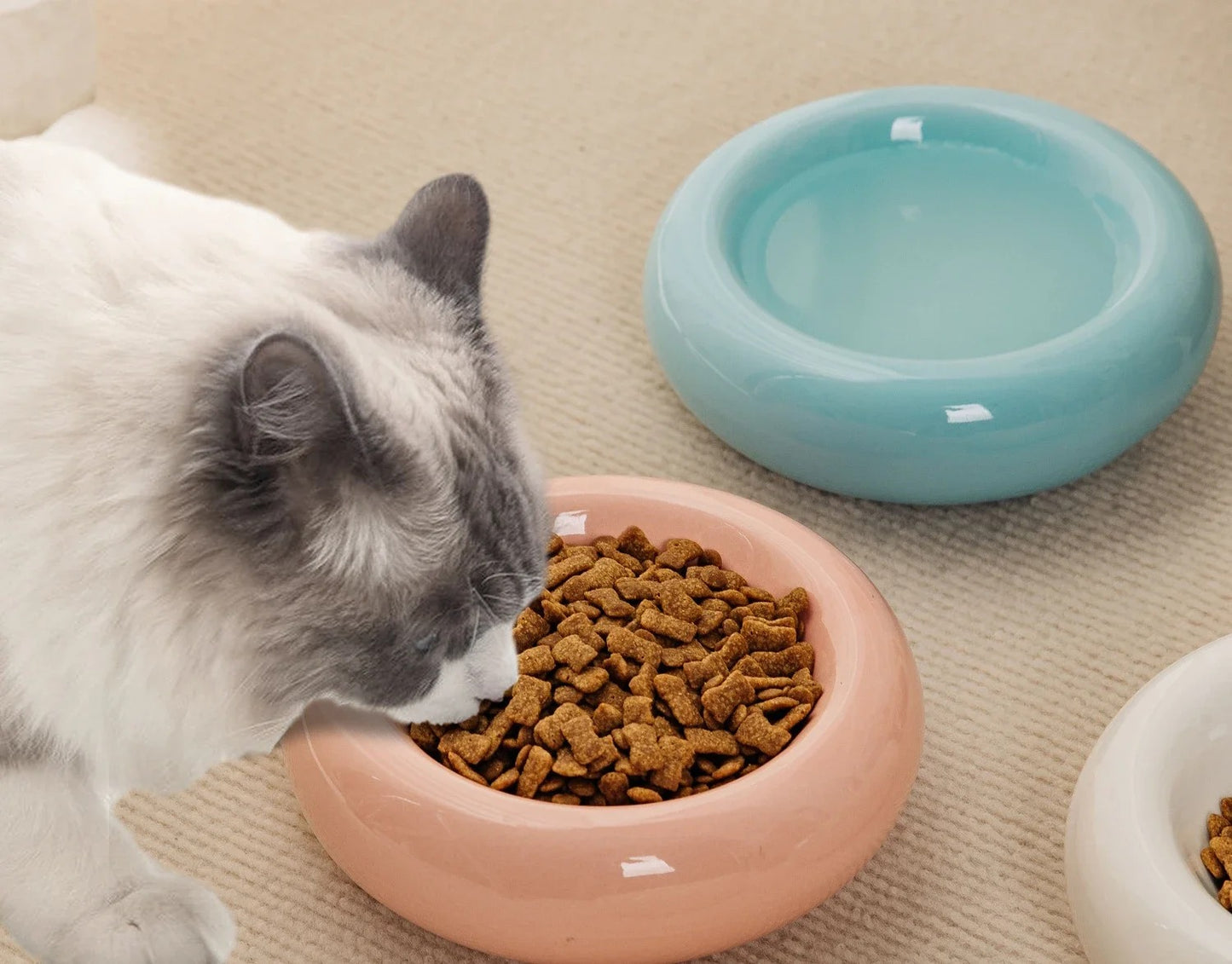 Ceramic Pet Bowl Pink